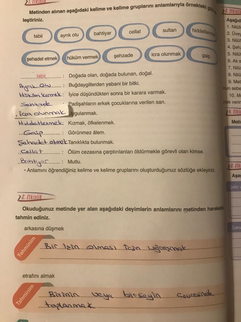 6.sınıf türkçe ata yayıncılık sayfa24 cevapları