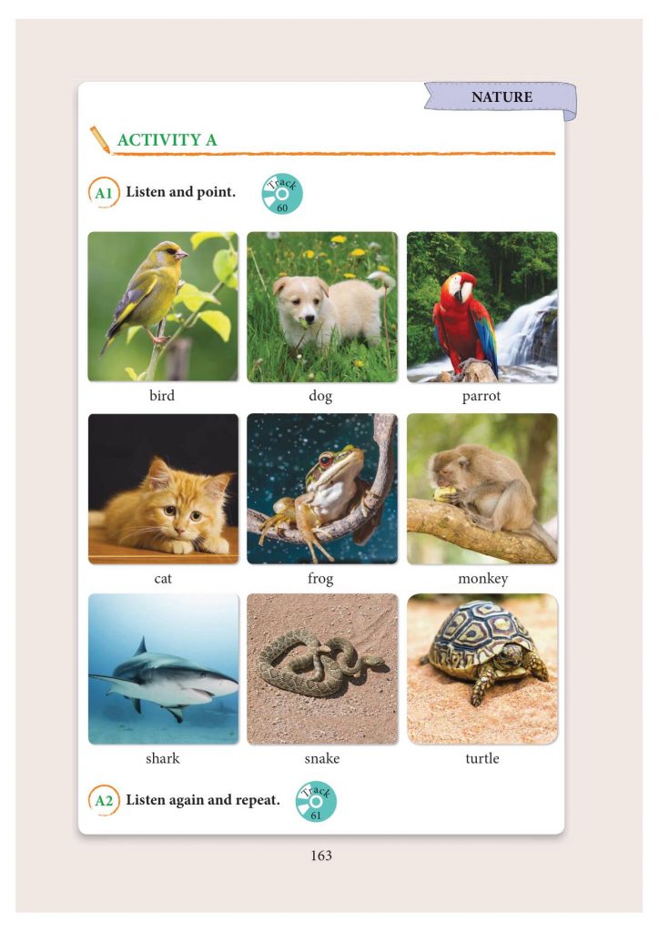 3. sınıf ingilizce ders kitabı sayfa 163 cevapları yıldırım yayınları