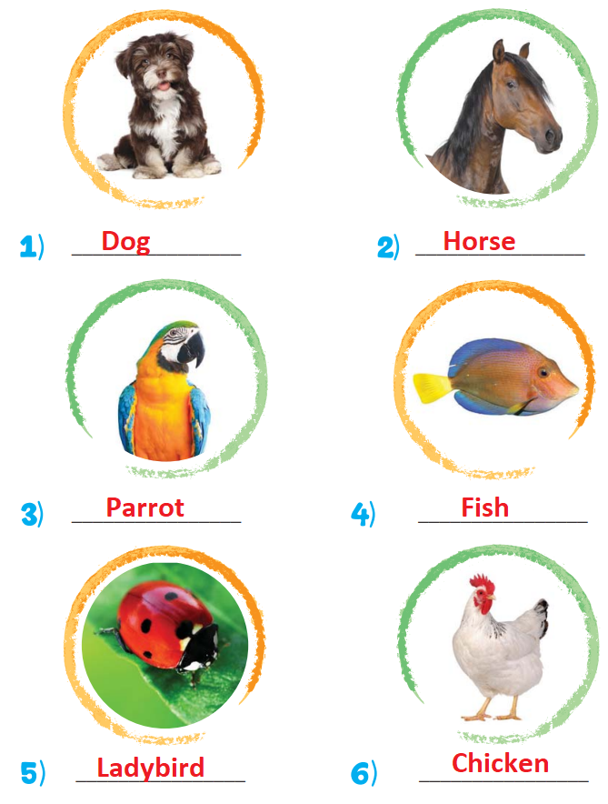 3. sınıf ingilizce ders kitabı sayfa 166 cevapları yıldırım yayınları