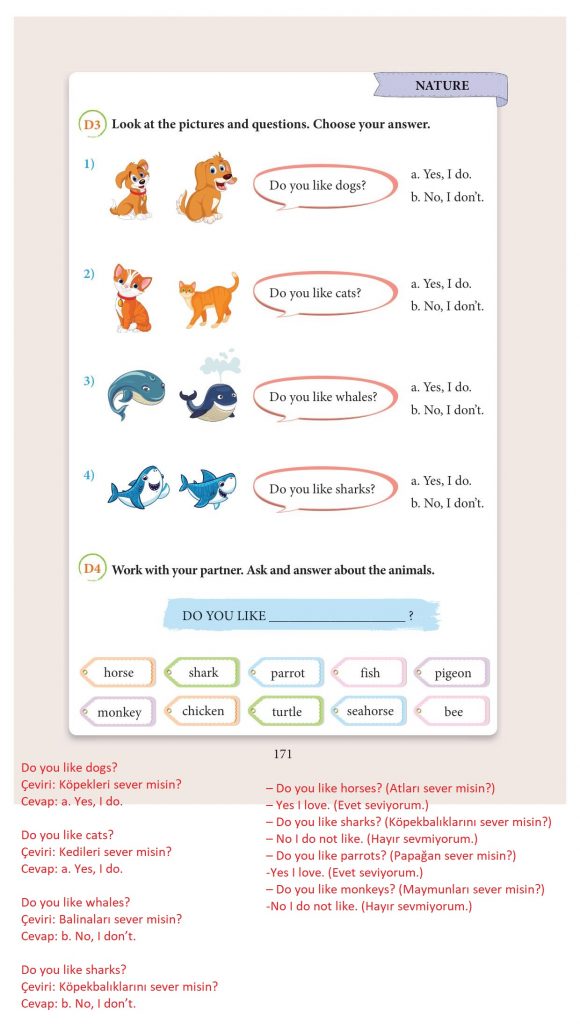 3. sınıf ingilizce ders kitabı sayfa 171 cevapları yıldırım yayınları
