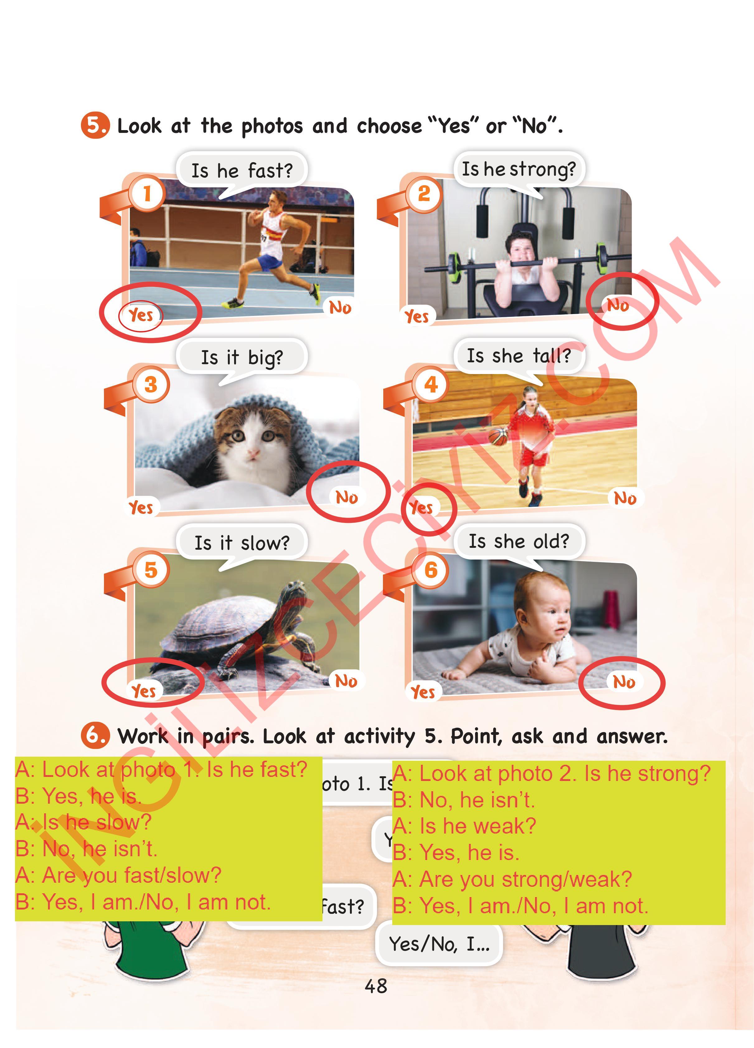 3. Sınıf Sdr Dikey Yayıncılık İngilizce Ders Kitabı Sayfa 48 Cevapları 3. Sınıf Sdr Dikey Yayıncılık İngilizce Ders Kitabı Sayfa 48 Cevapları