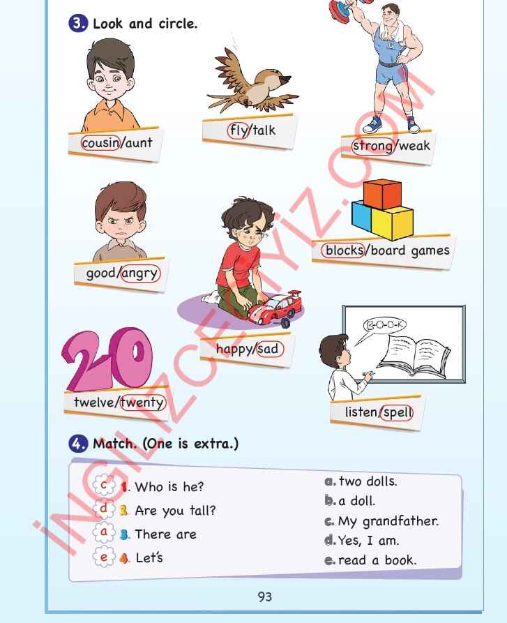 3. Sınıf Sdr Dikey Yayıncılık İngilizce Ders Kitabı Sayfa 93 Cevapları