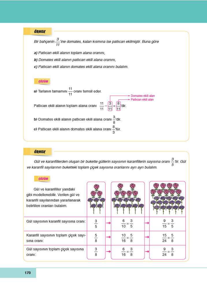 6. Sınıf Doğa Yayınları Matematik Ders Kitabı Sayfa 170 Cevapları 6. Sınıf Doğa Yayınları Matematik Ders Kitabı Sayfa 170 Cevapları