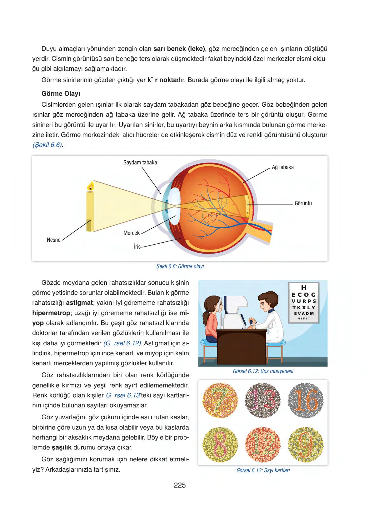 6. Sınıf Gün Yayınları Fen Bilimleri Ders Kitabı Sayfa 225 Cevapları 6. Sınıf Gün Yayınları Fen Bilimleri Ders Kitabı Sayfa 225 Cevapları