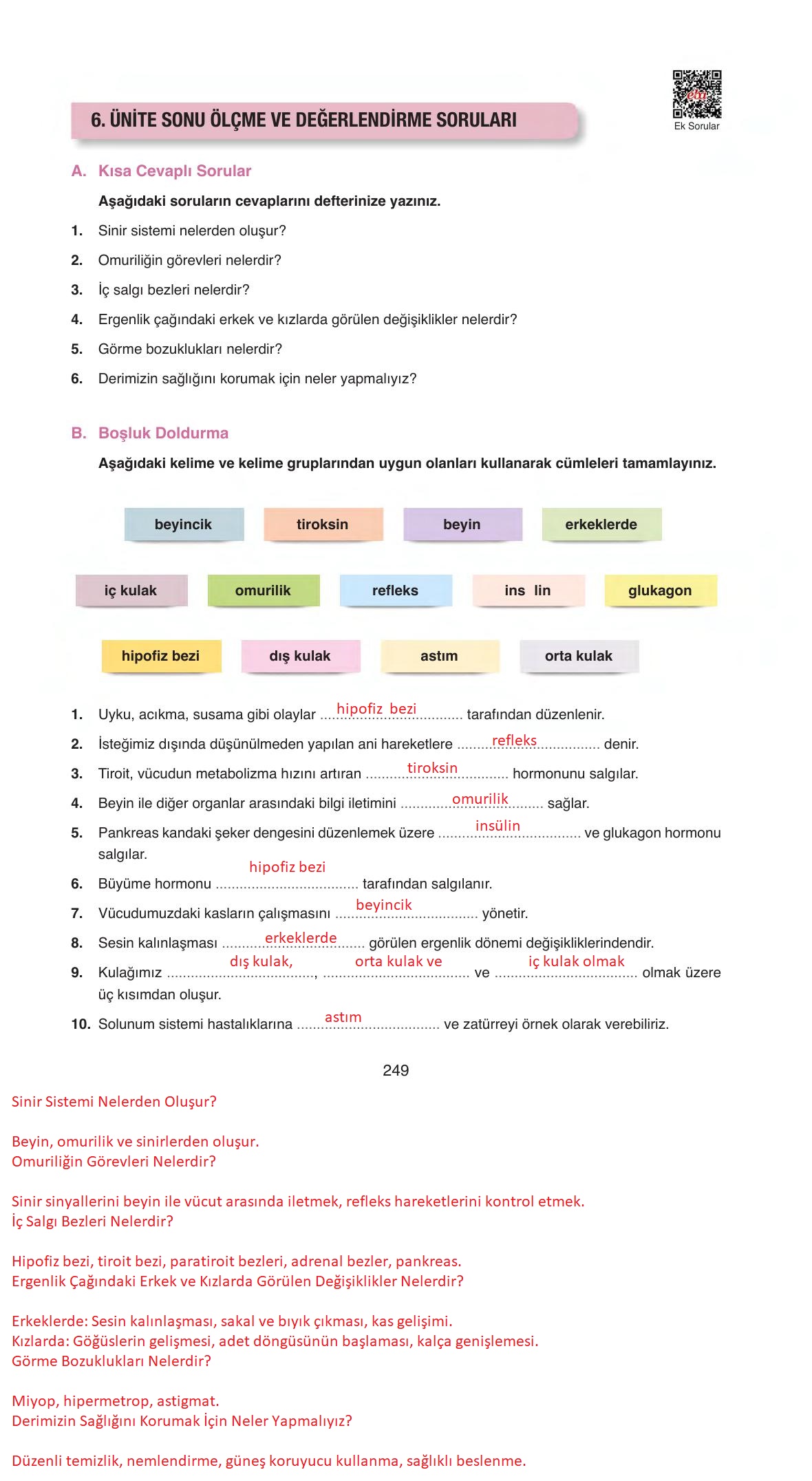 6. Sınıf Gün Yayınları Fen Bilimleri Ders Kitabı Sayfa 249 Cevapları