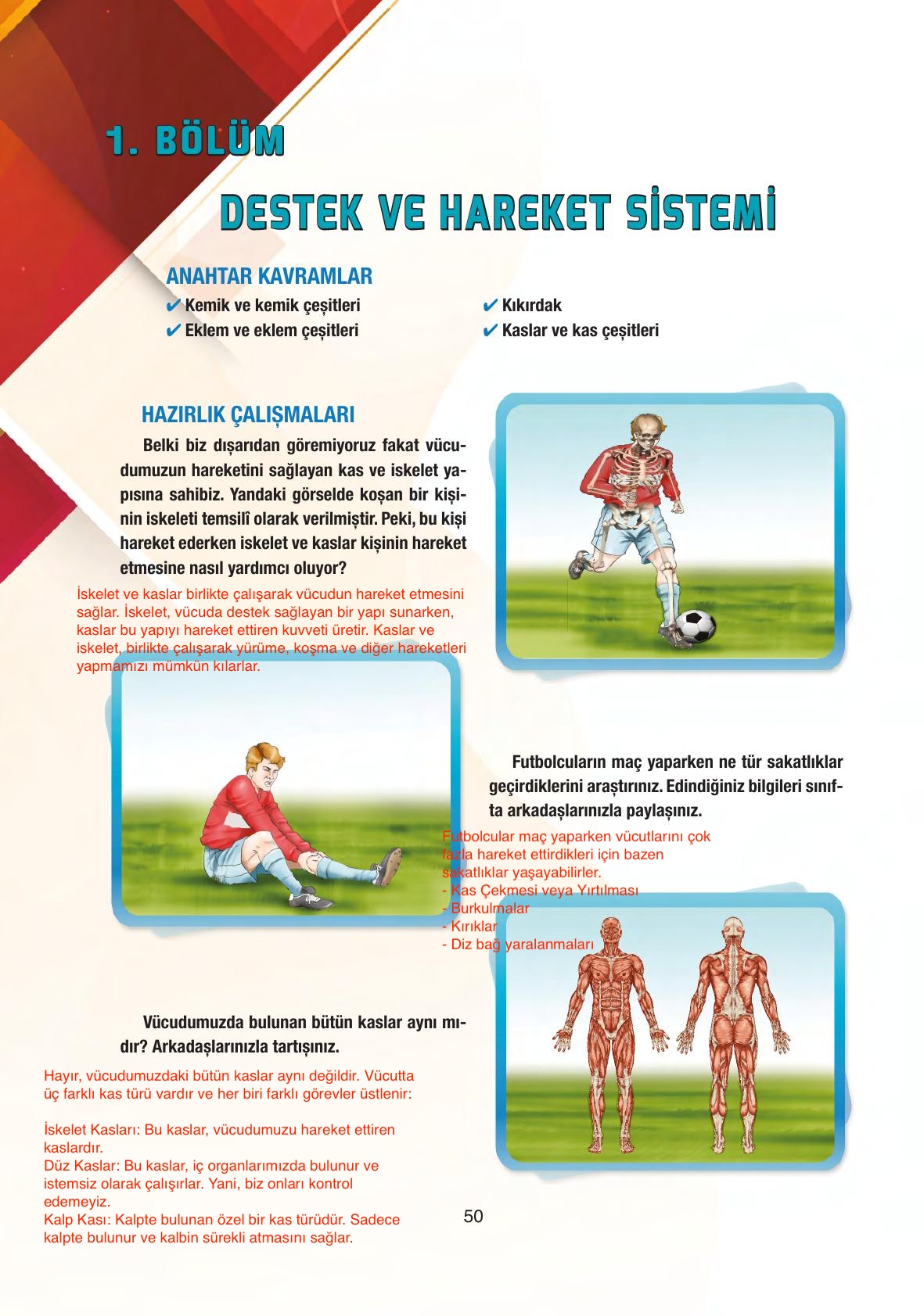 6. Sınıf Gün Yayınları Fen Bilimleri Ders Kitabı Sayfa 50 Cevapları 6. Sınıf Gün Yayınları Fen Bilimleri Ders Kitabı Sayfa 50 Cevapları