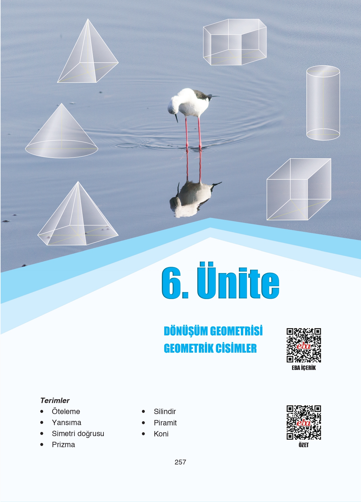 8. Sınıf Ada Matbaacılık Yayıncılık Matematik Ders Kitabı Sayfa 257 Cevapları 8. Sınıf Ada Matbaacılık Yayıncılık Matematik Ders Kitabı Sayfa 257 Cevapları