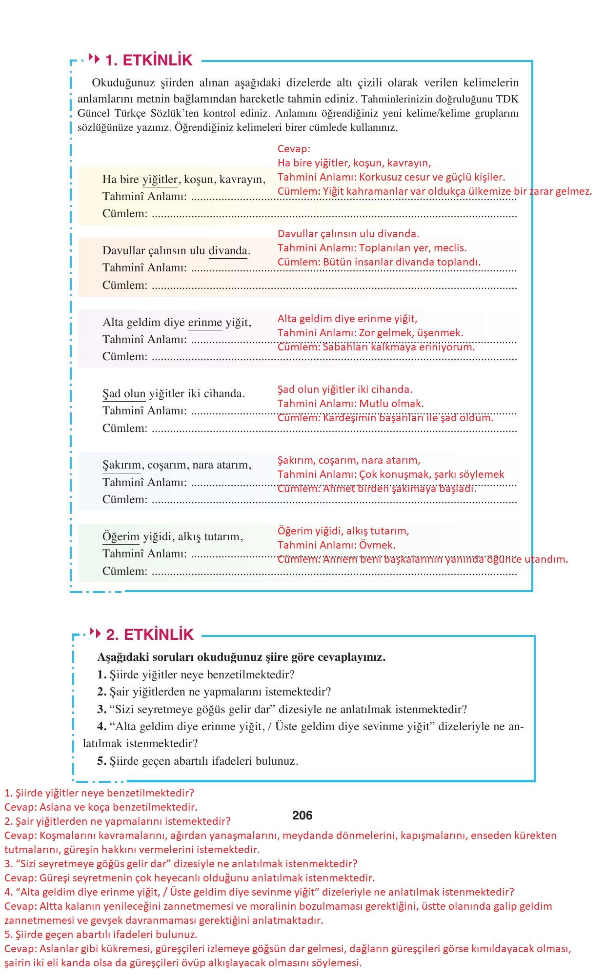 8. Sınıf Hecce Yayıncılık Türkçe Ders Kitabı Sayfa 206 Cevapları