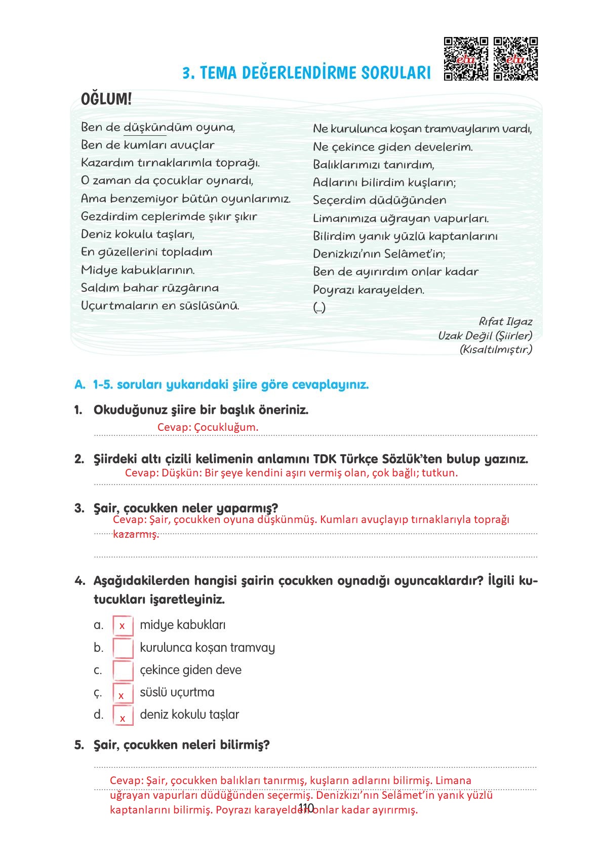 4. Sınıf Tuna Yayınları Türkçe Ders Kitabı Sayfa 110 Cevapları