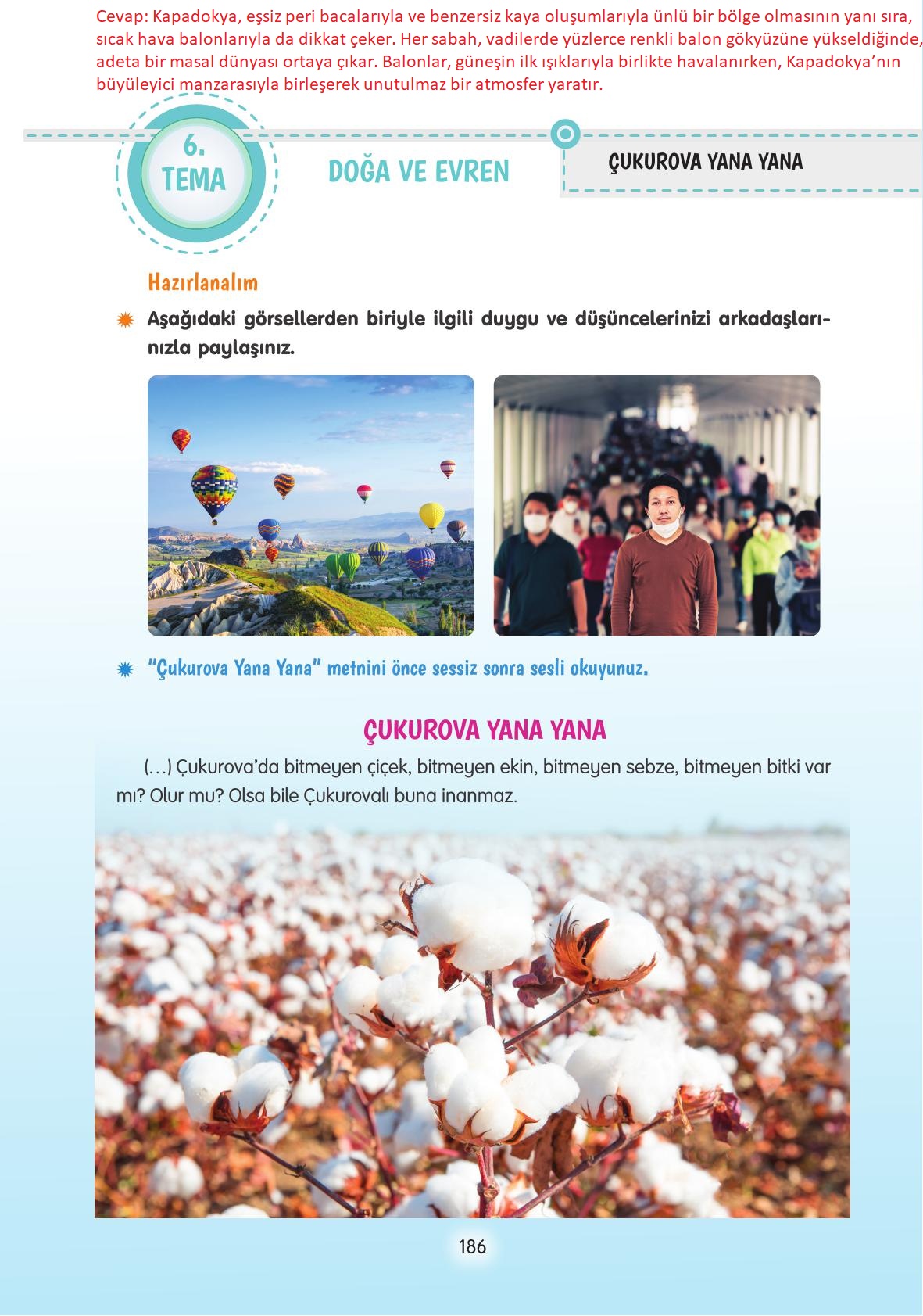 4. Sınıf Tuna Yayınları Türkçe Ders Kitabı Sayfa 186 Cevapları