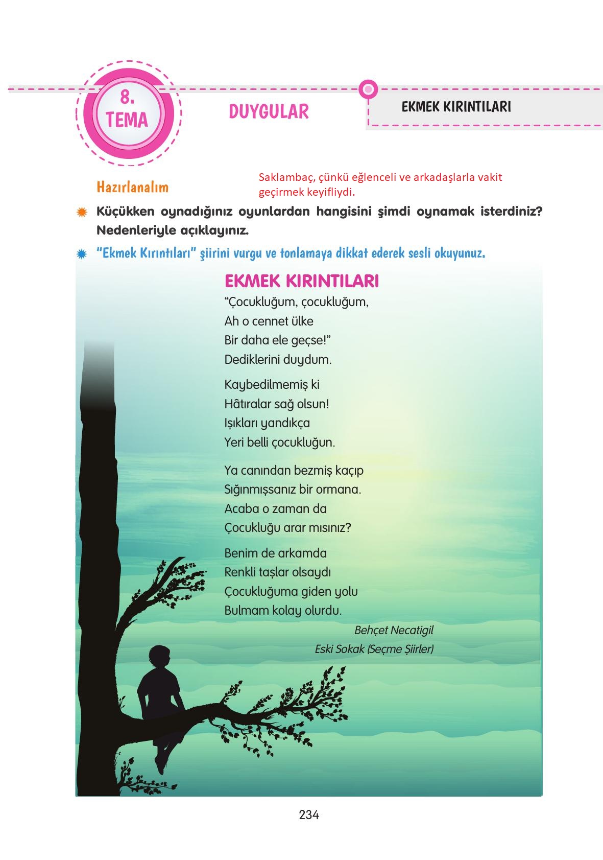 4. Sınıf Tuna Yayınları Türkçe Ders Kitabı Sayfa 234 Cevapları