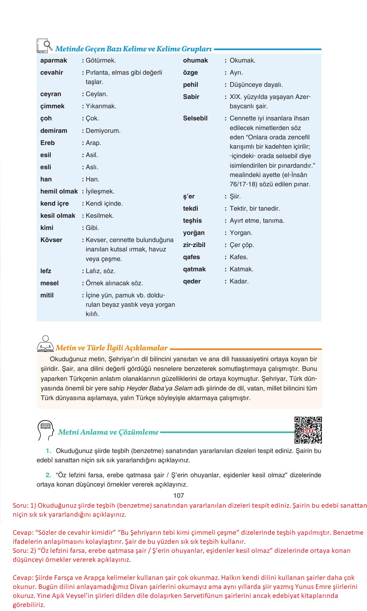 11. Sınıf Gizem Yayıncılık Edebiyat Ders Kitabı Sayfa 107 Cevapları