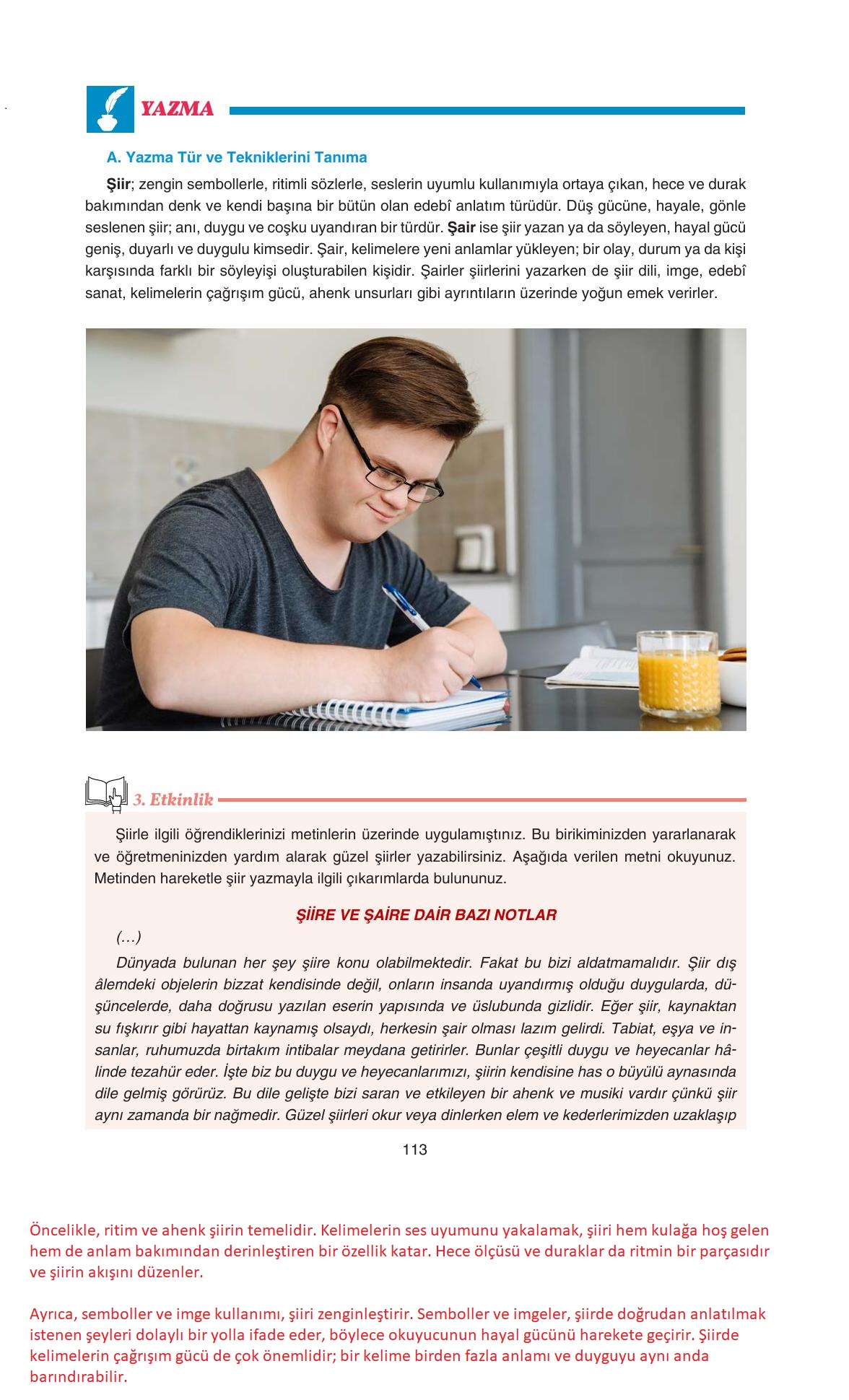 11. Sınıf Gizem Yayıncılık Edebiyat Ders Kitabı Sayfa 113 Cevapları