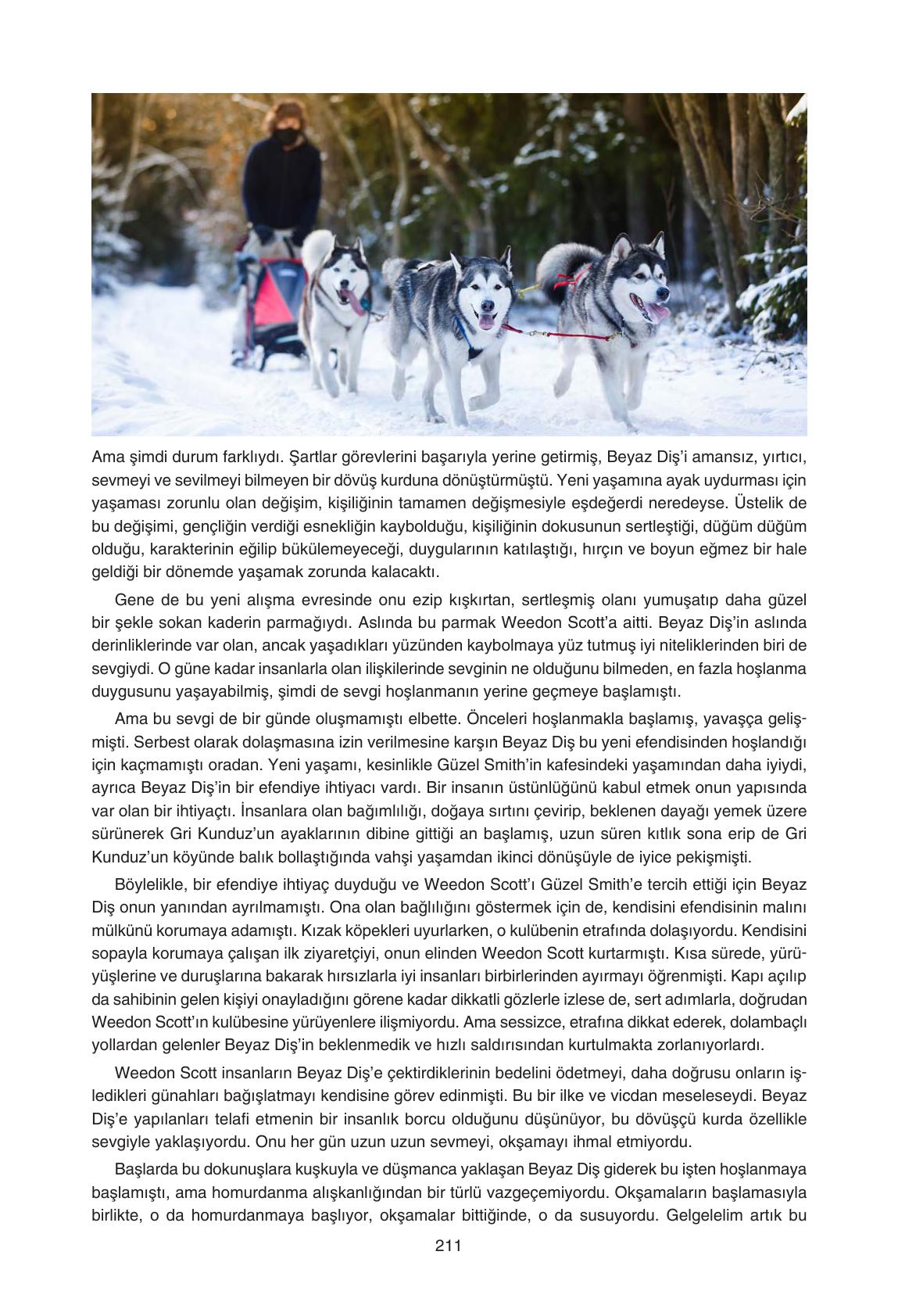 11. Sınıf Gizem Yayıncılık Edebiyat Ders Kitabı Sayfa 211 Cevapları