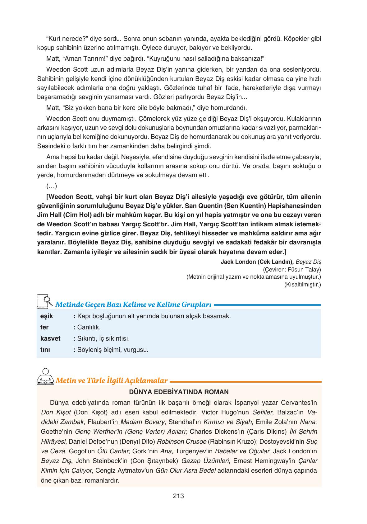 11. Sınıf Gizem Yayıncılık Edebiyat Ders Kitabı Sayfa 213 Cevapları