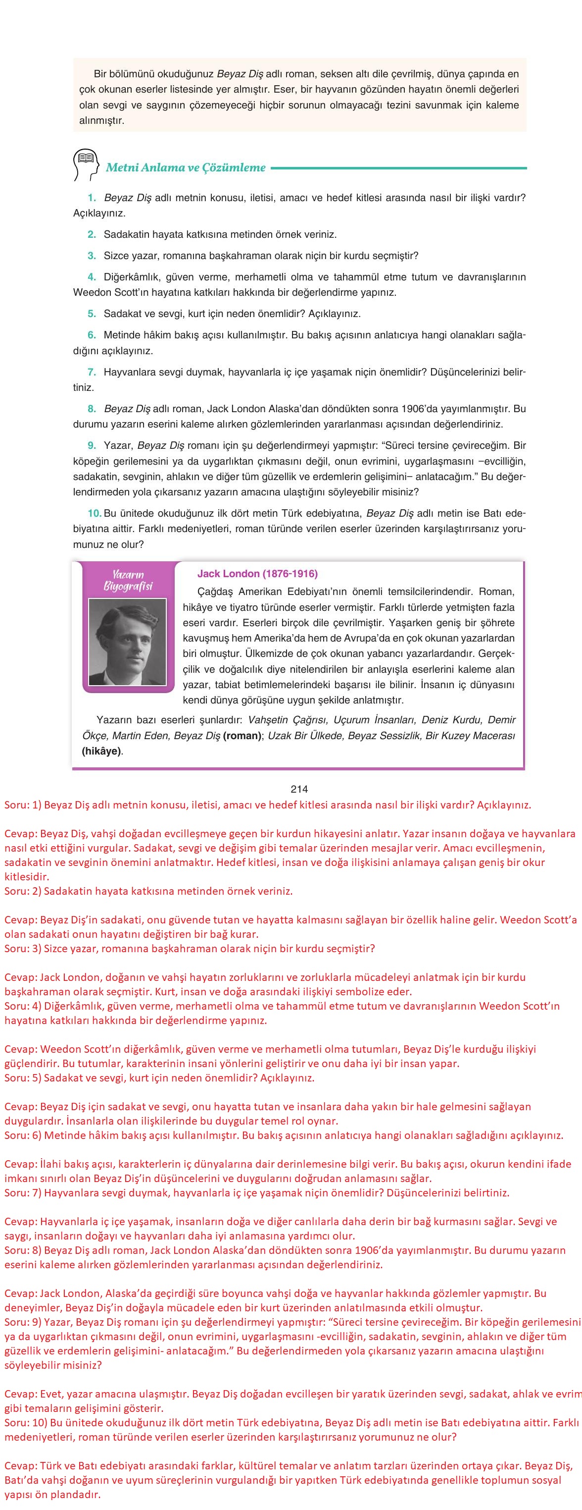 11. Sınıf Gizem Yayıncılık Edebiyat Ders Kitabı Sayfa 214 Cevapları