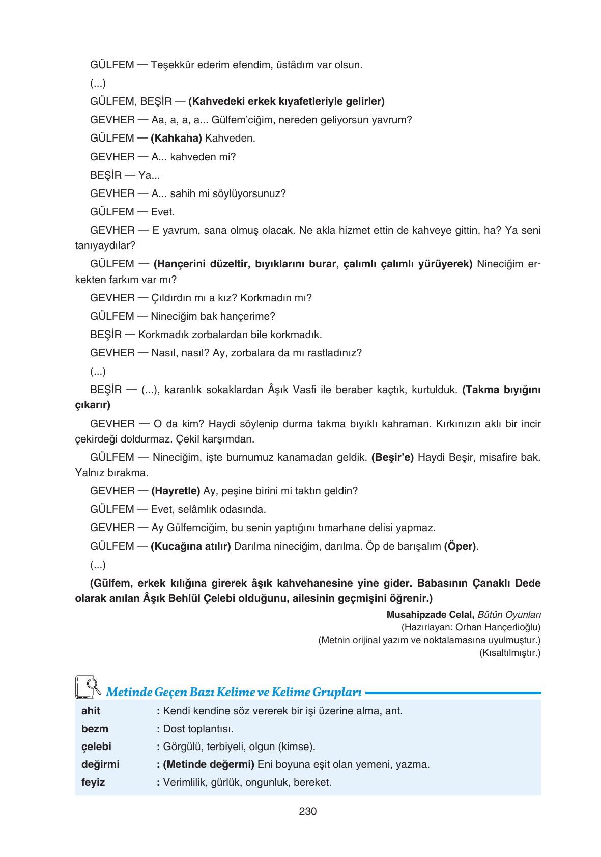 11. Sınıf Gizem Yayıncılık Edebiyat Ders Kitabı Sayfa 230 Cevapları