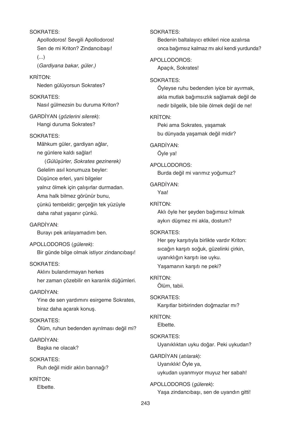 11. Sınıf Gizem Yayıncılık Edebiyat Ders Kitabı Sayfa 243 Cevapları