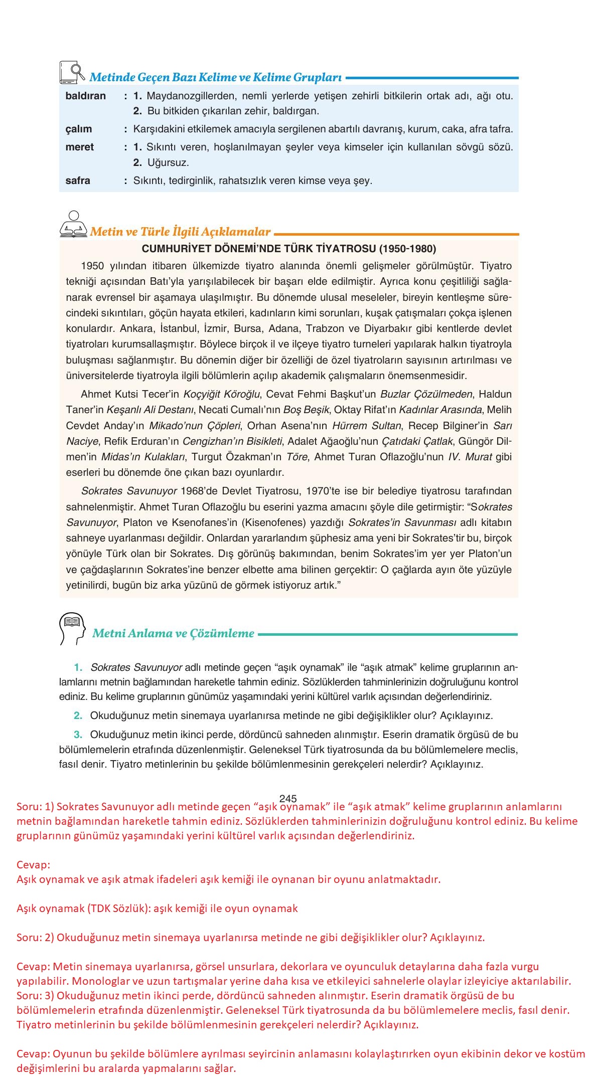 11. Sınıf Gizem Yayıncılık Edebiyat Ders Kitabı Sayfa 245 Cevapları
