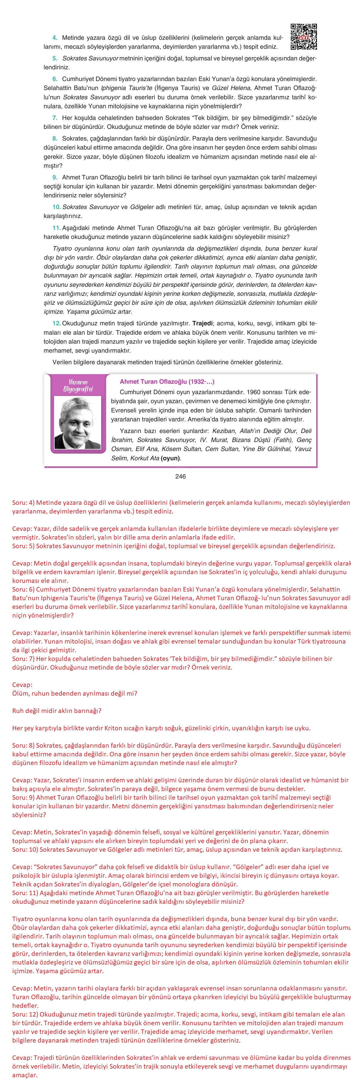 11. Sınıf Gizem Yayıncılık Edebiyat Ders Kitabı Sayfa 246 Cevapları