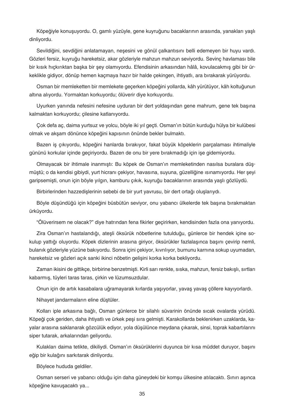 11. Sınıf Gizem Yayıncılık Edebiyat Ders Kitabı Sayfa 35 Cevapları