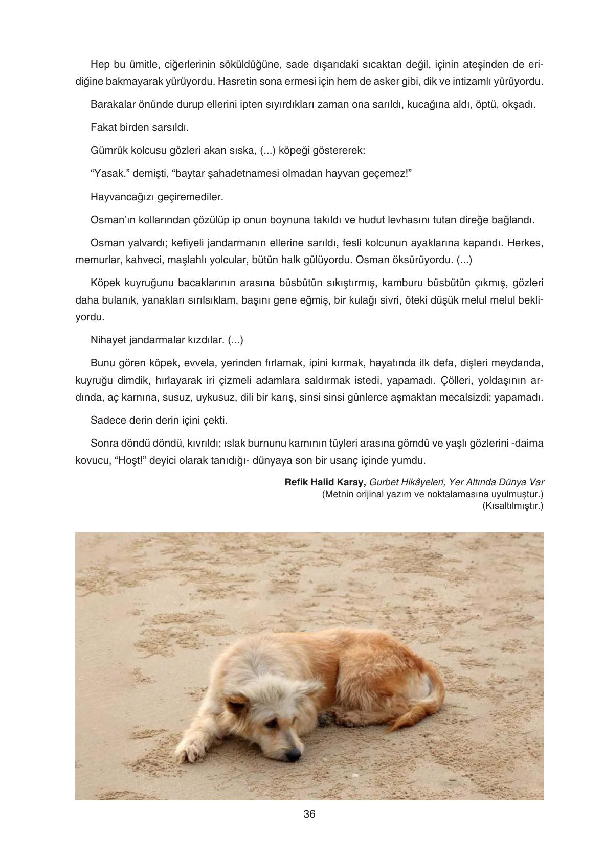 11. Sınıf Gizem Yayıncılık Edebiyat Ders Kitabı Sayfa 36 Cevapları