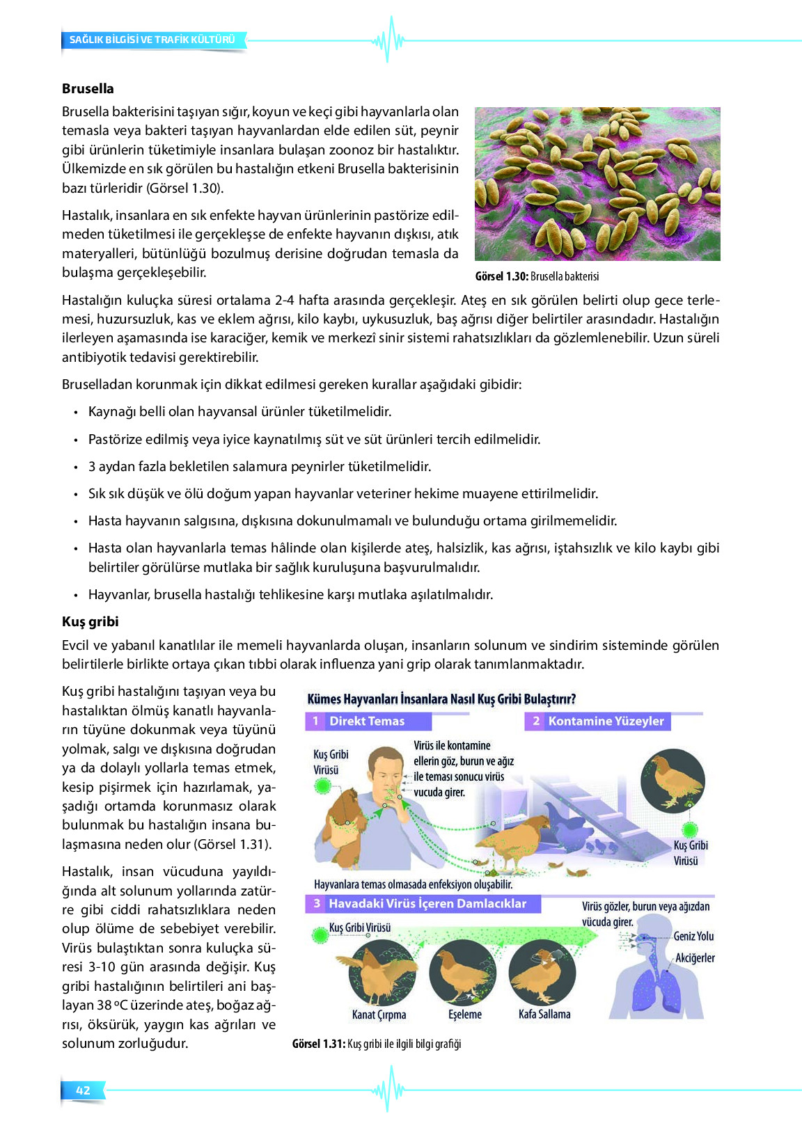 9. Sınıf Meb Yayınları Sağlık Bilgisi Ve Trafik Kültürü Ders Kitabı Sayfa 42 Cevapları 9. Sınıf Meb Yayınları Sağlık Bilgisi Ve Trafik Kültürü Ders Kitabı Sayfa 42 Cevapları