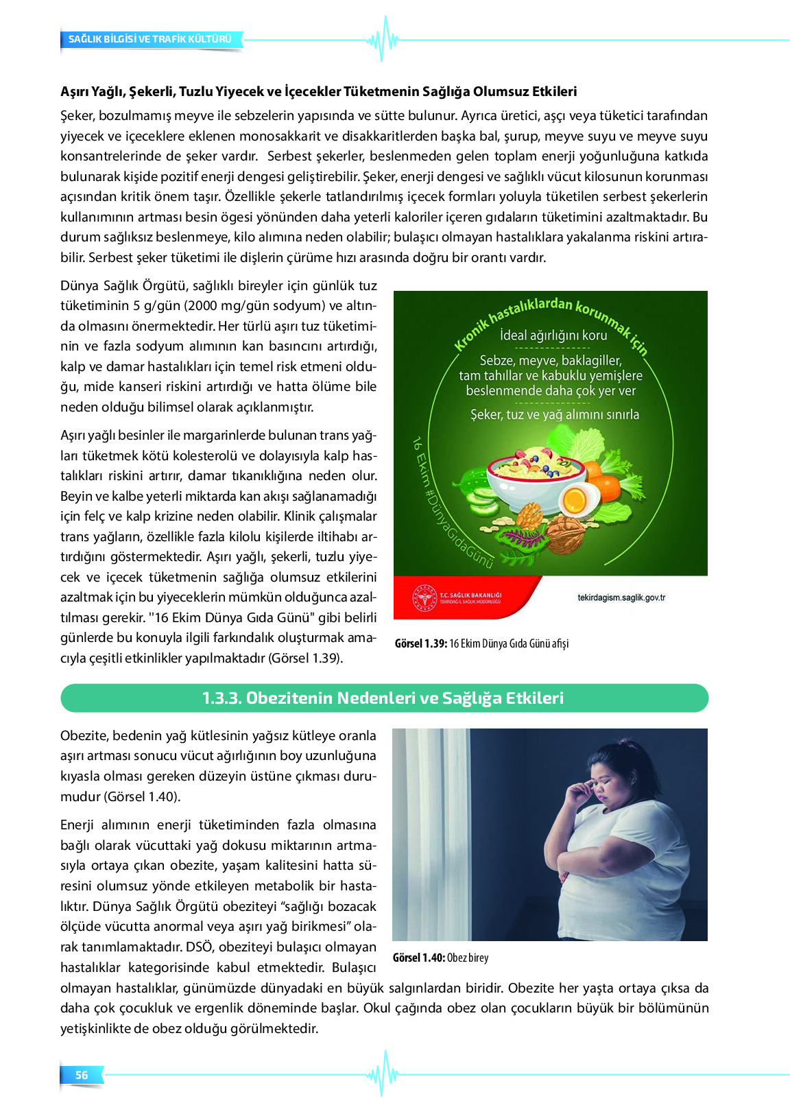 9. Sınıf Meb Yayınları Sağlık Bilgisi Ve Trafik Kültürü Ders Kitabı Sayfa 56 Cevapları 9. Sınıf Meb Yayınları Sağlık Bilgisi Ve Trafik Kültürü Ders Kitabı Sayfa 56 Cevapları