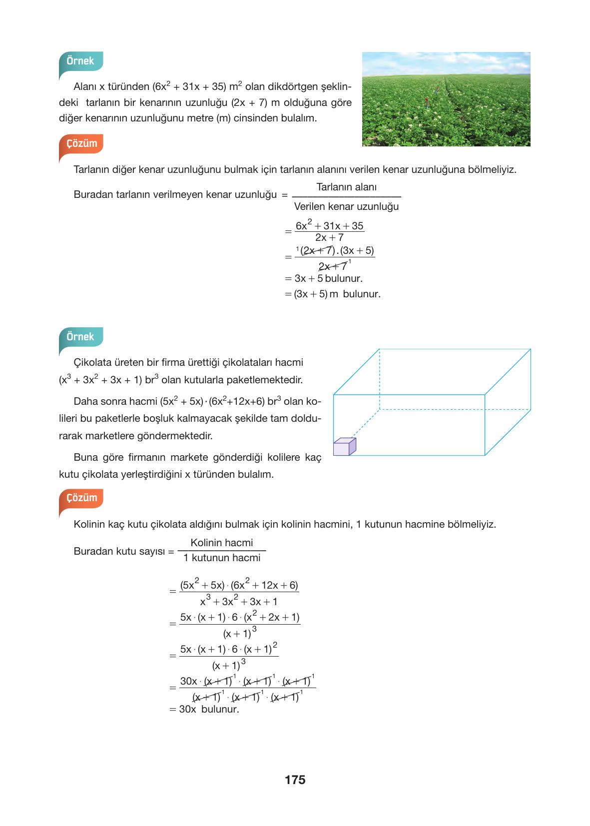 10. Sınıf Hecce Yayıncılık Matematik Ders Kitabı Sayfa 175 Cevapları