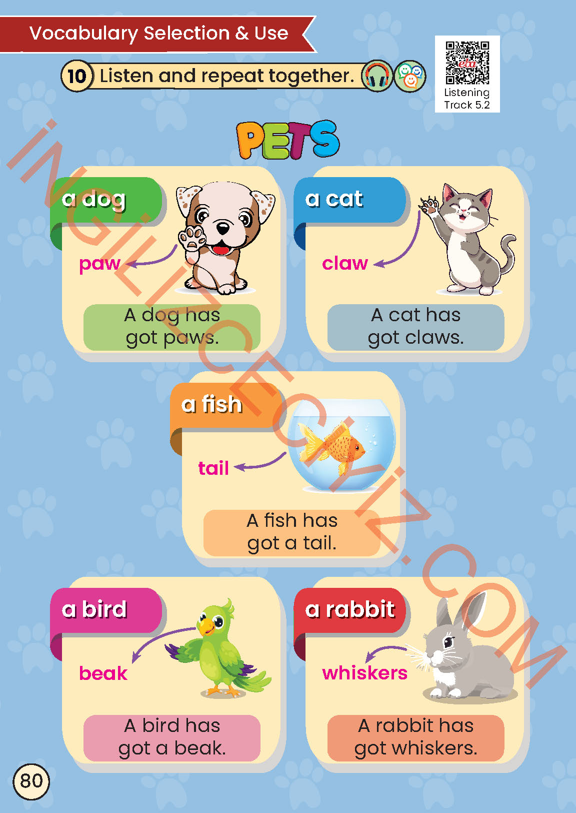 2. Sınıf Meb Yayınları İngilizce Ders Kitabı Sayfa 80 Cevapları