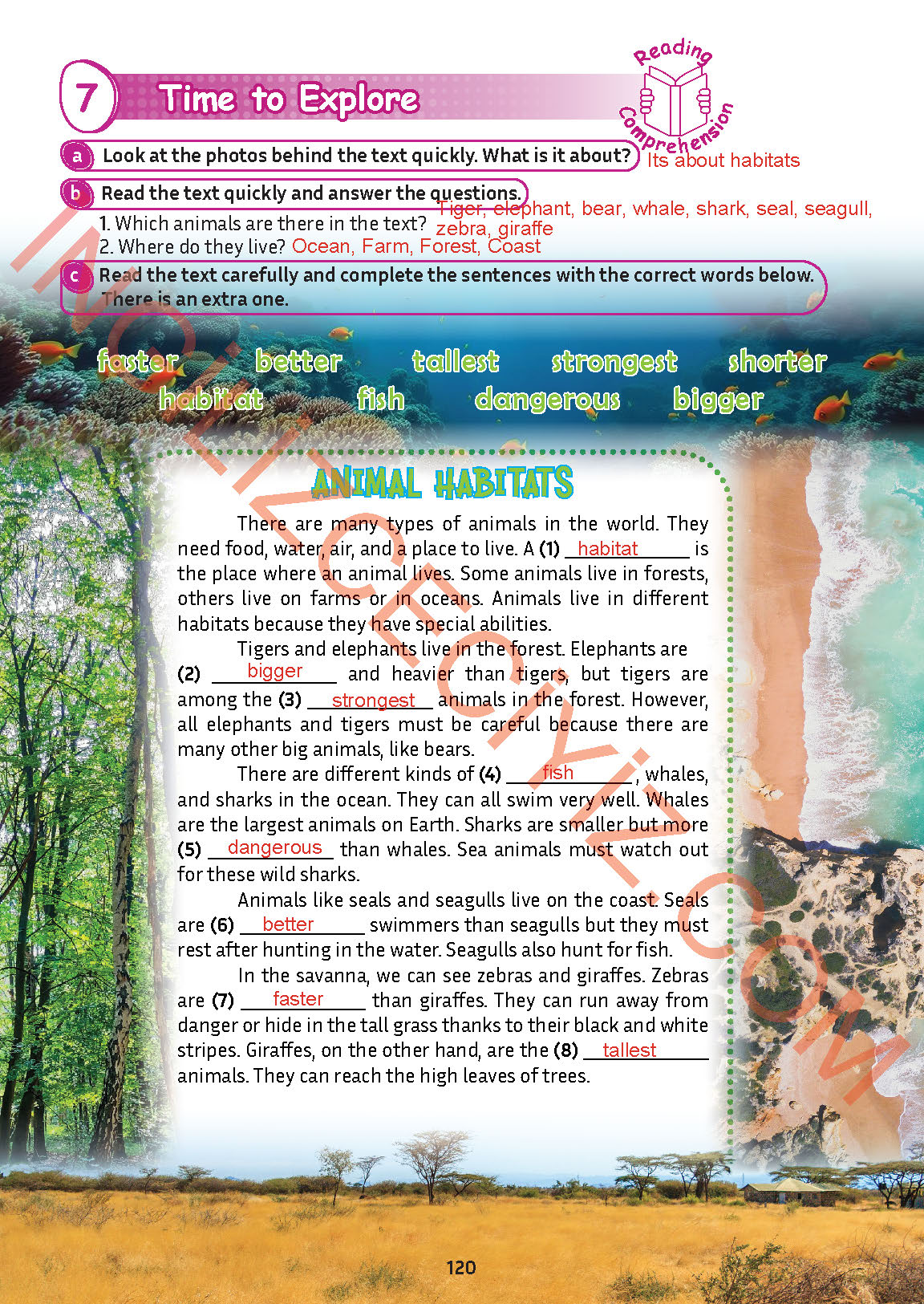 5. Sınıf Meb Yayınları İngilizce Ders Kitabı Sayfa 121 Cevapları