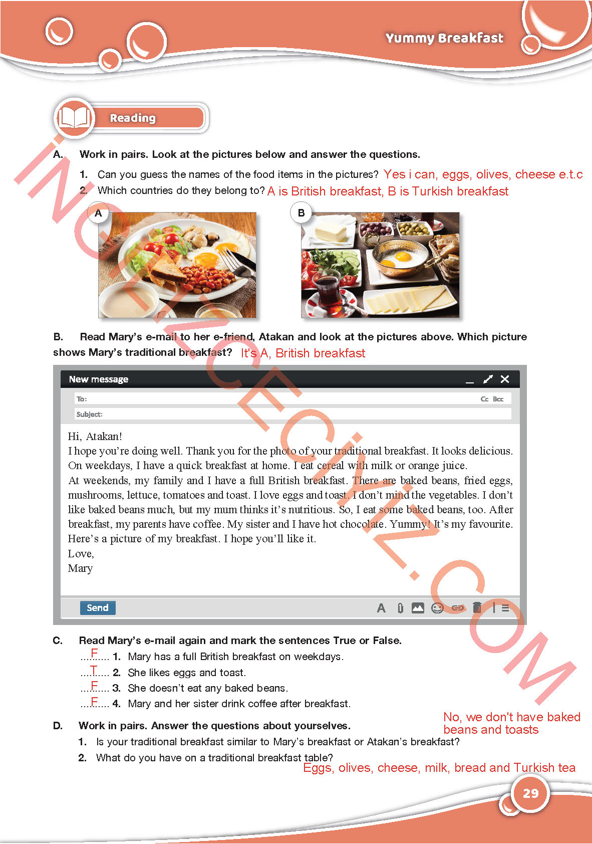 6. Sınıf Özgün Yayınları İngilizce Ders Kitabı Sayfa 29 Cevapları