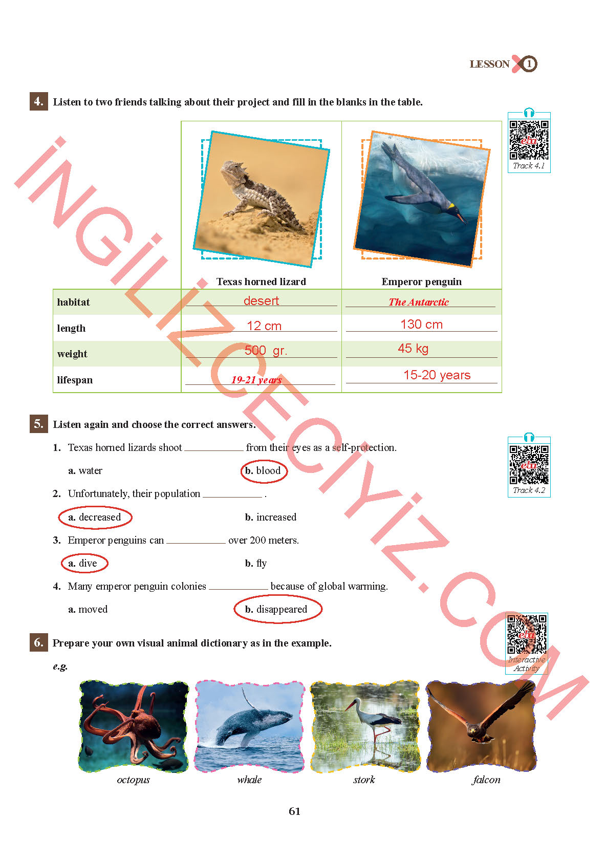 7. Sınıf Sdr İpekyolu Yayınları İngilizce Ders Kitabı Sayfa 61 Cevapları
