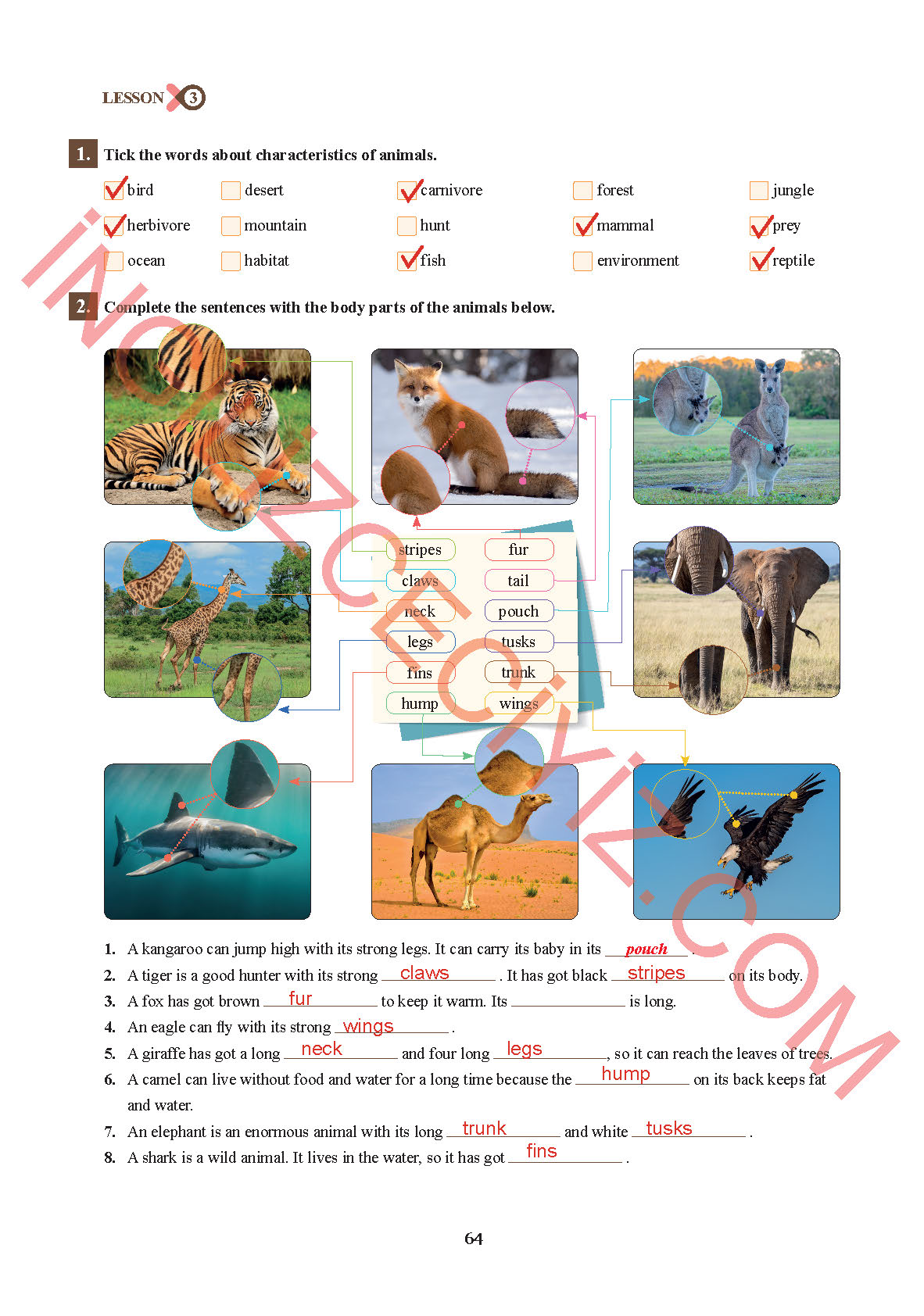 7. Sınıf Sdr İpekyolu Yayınları İngilizce Ders Kitabı Sayfa 64 Cevapları