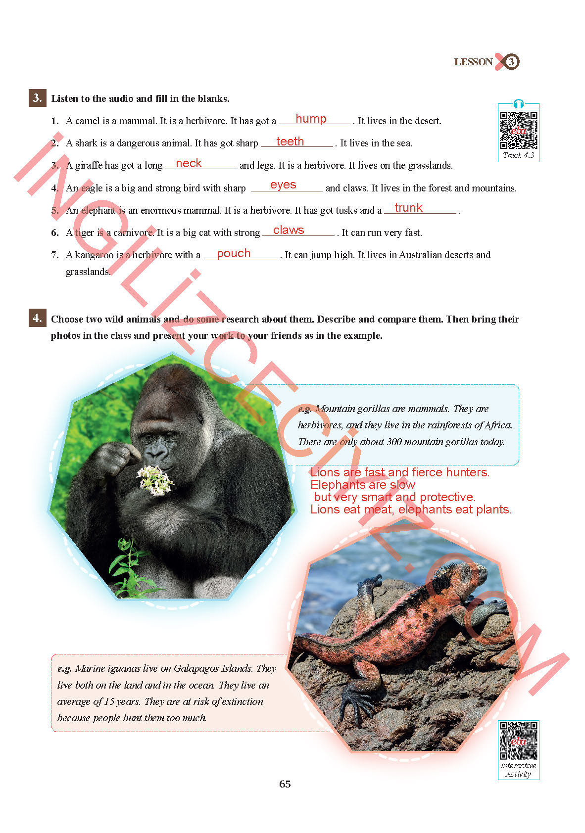 7. Sınıf Sdr İpekyolu Yayınları İngilizce Ders Kitabı Sayfa 65 Cevapları