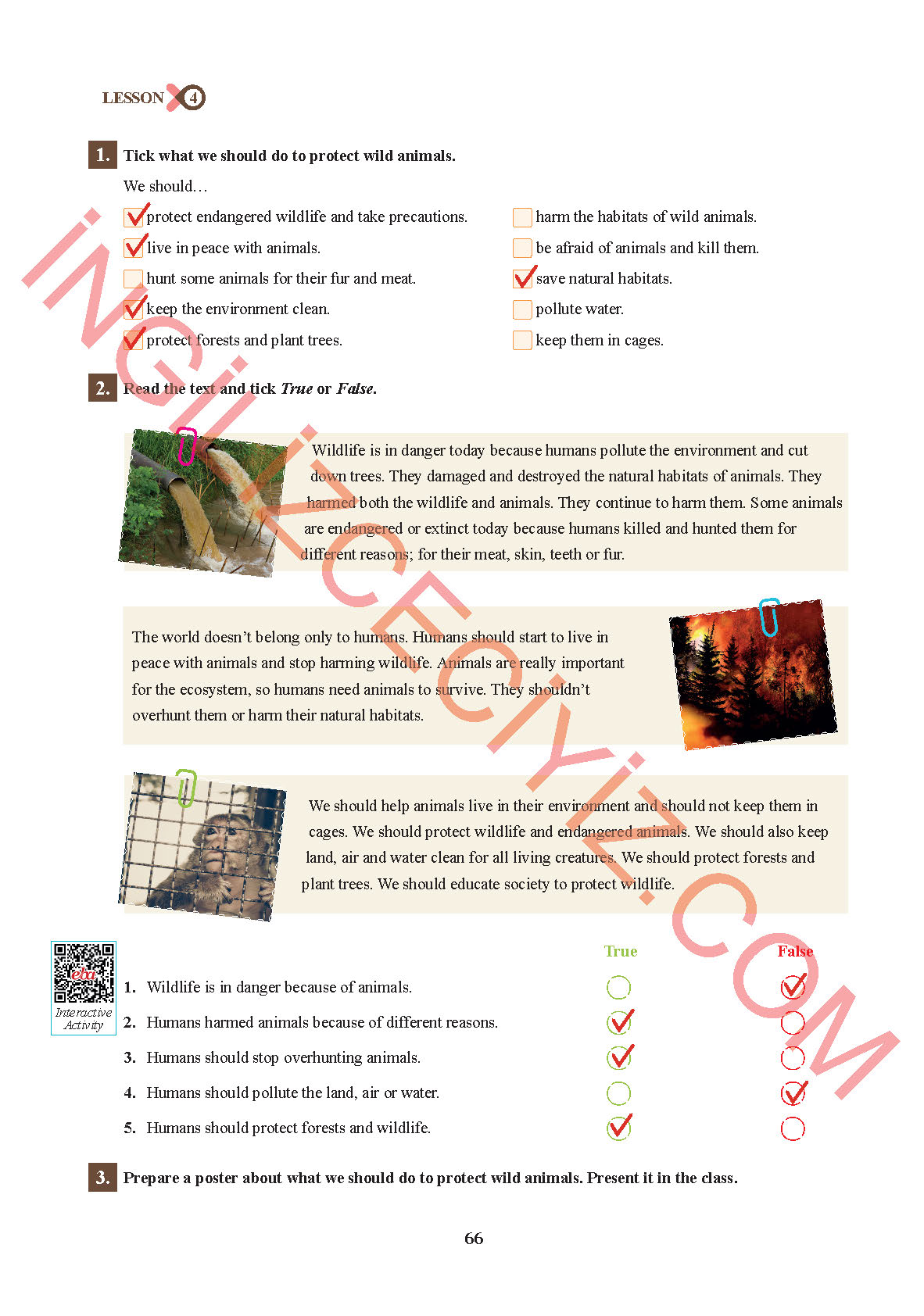 7. Sınıf Sdr İpekyolu Yayınları İngilizce Ders Kitabı Sayfa 66 Cevapları