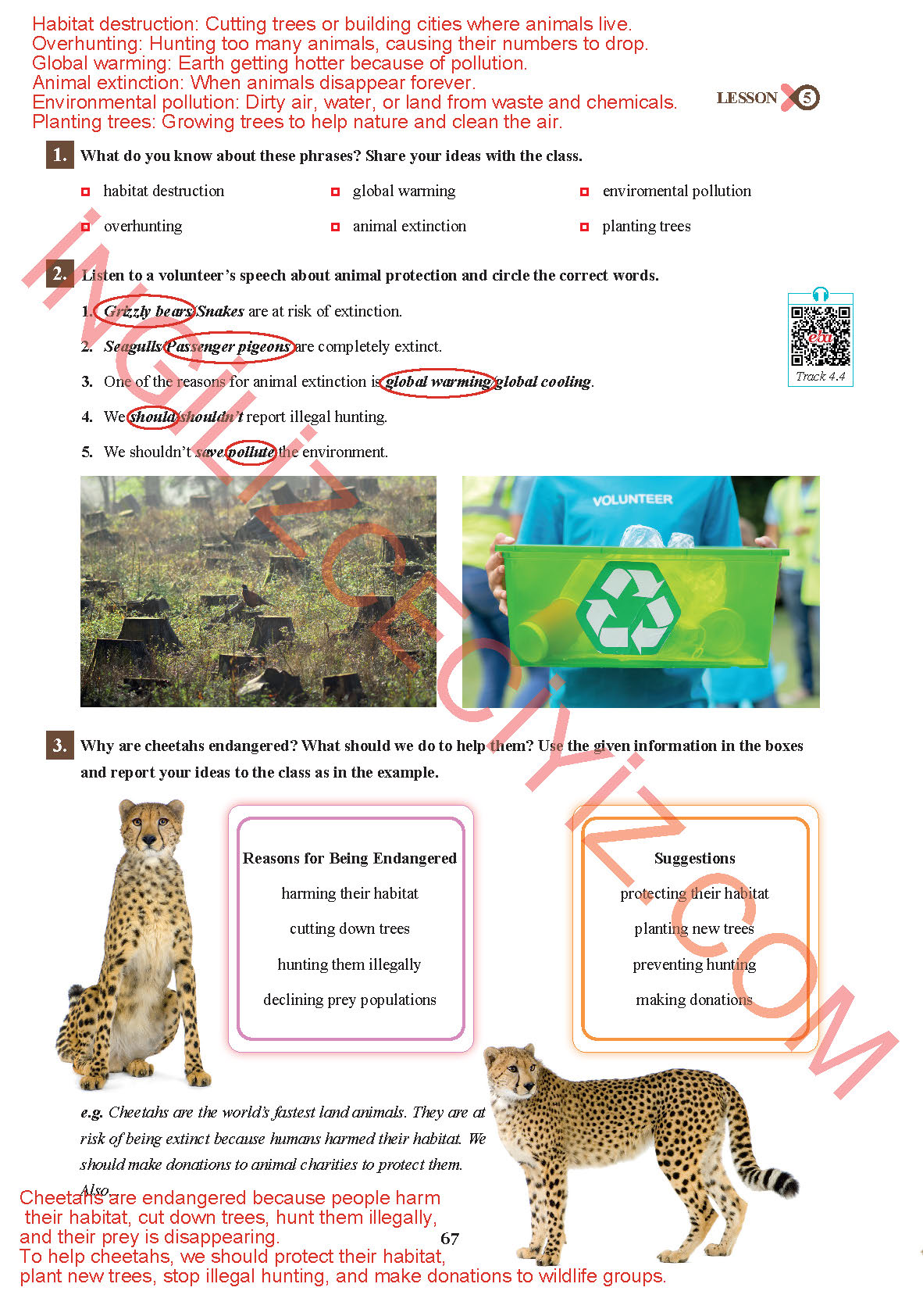 7. Sınıf Sdr İpekyolu Yayınları İngilizce Ders Kitabı Sayfa 67 Cevapları