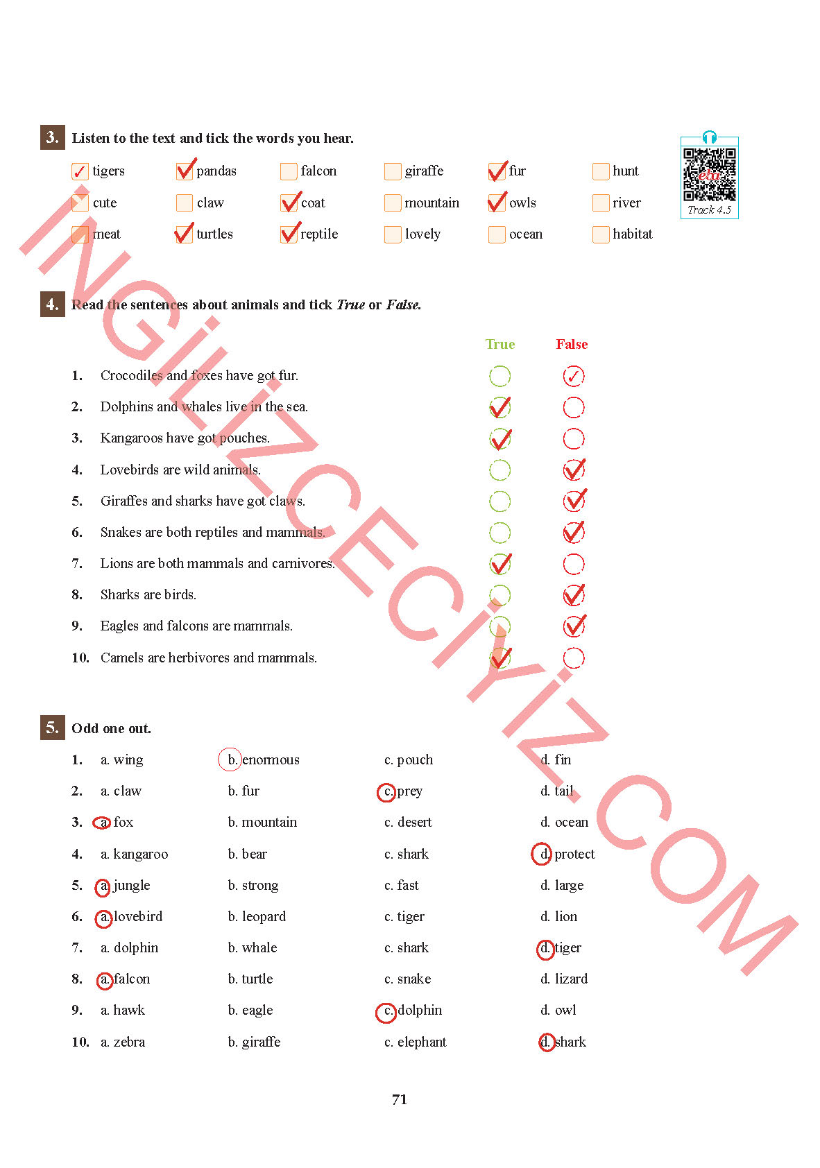 7. Sınıf Sdr İpekyolu Yayınları İngilizce Ders Kitabı Sayfa 71 Cevapları