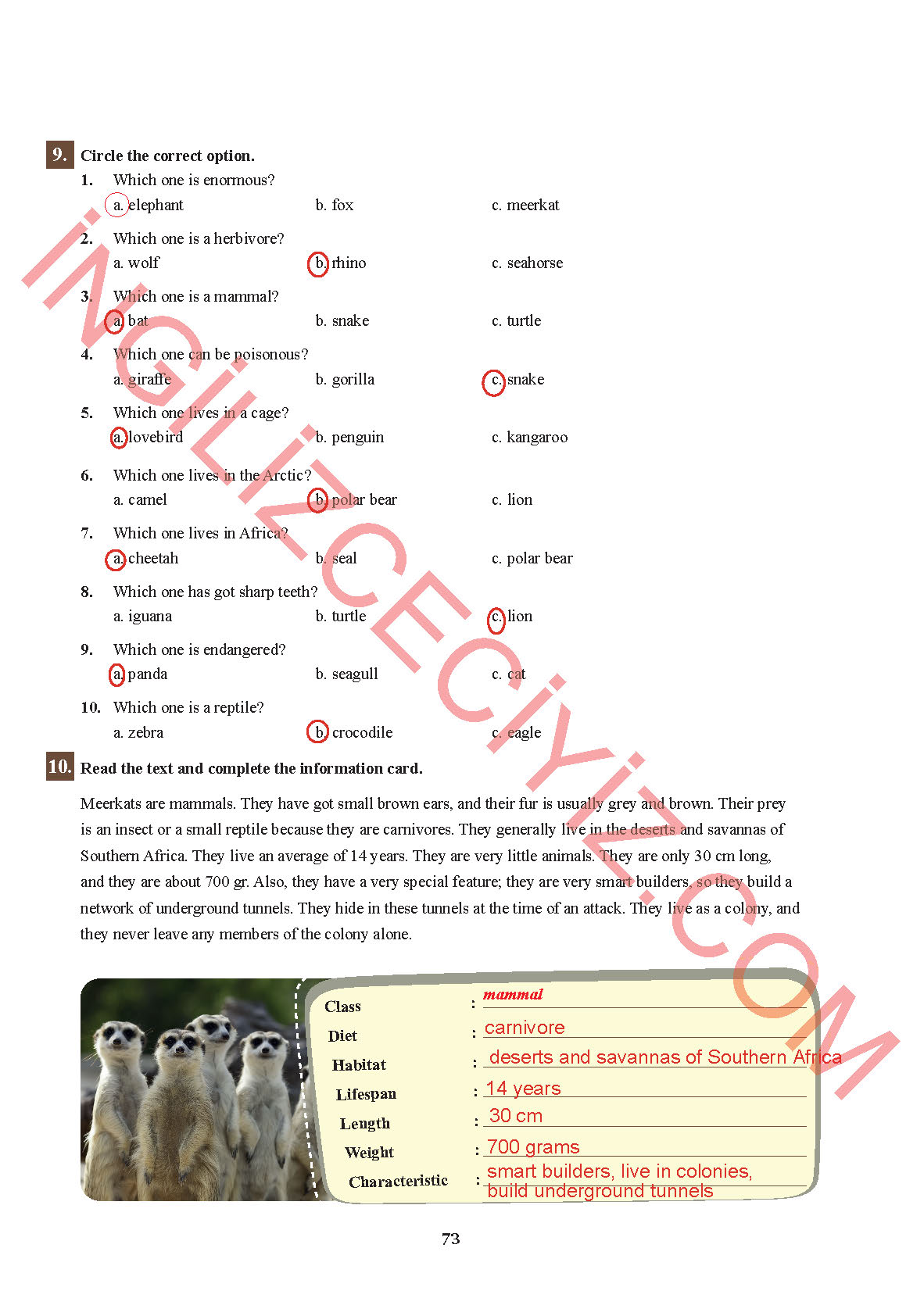 7. Sınıf Sdr İpekyolu Yayınları İngilizce Ders Kitabı Sayfa 73 Cevapları