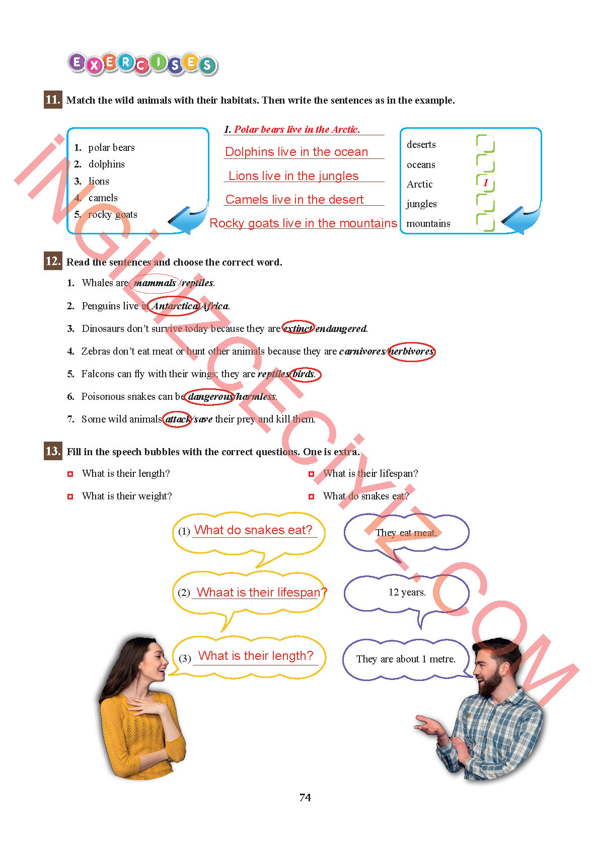 7. Sınıf Sdr İpekyolu Yayınları İngilizce Ders Kitabı Sayfa 74 Cevapları