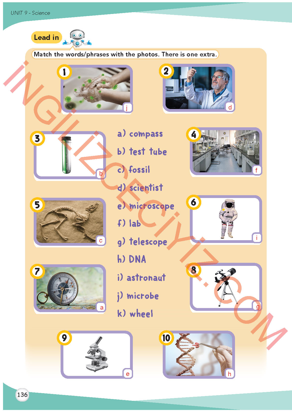 8. Sınıf Meb Yayınları İngilizce Ders Kitabı Sayfa 137 Cevapları