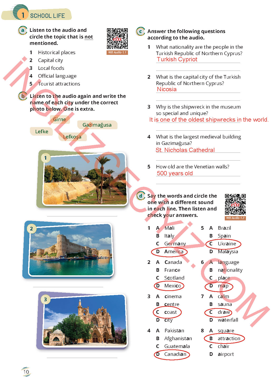 9. Sınıf Meb Yayınları İngilizce Çalışma Kitabı Sayfa 10 Cevapları