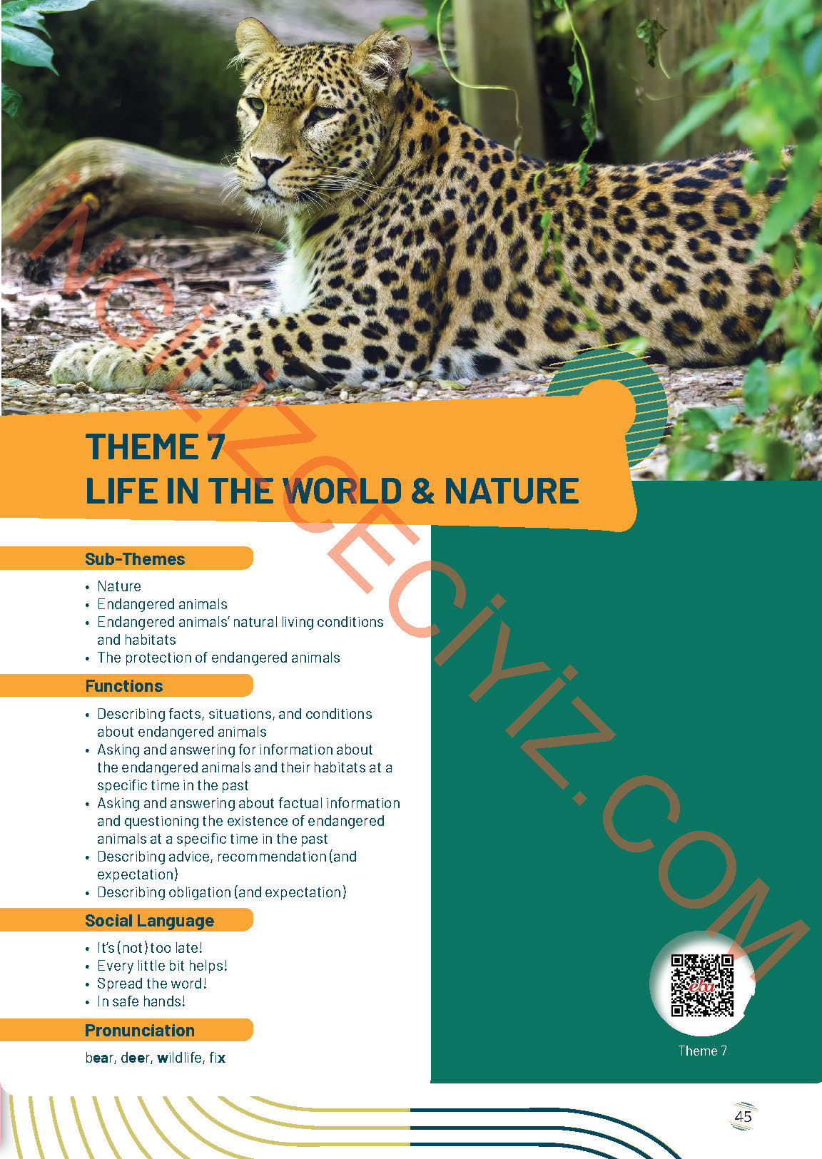 9. Sınıf Meb Yayınları İngilizce Çalışma Kitabı Sayfa 45 Cevapları