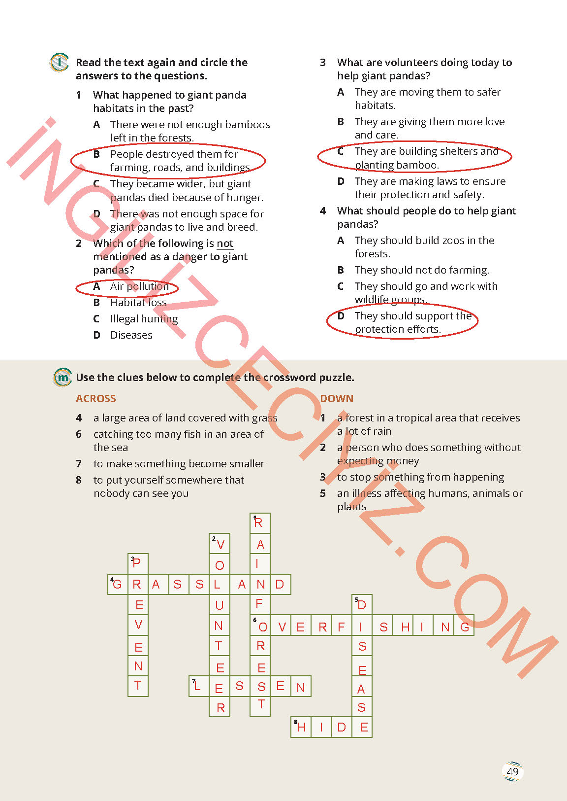 9. Sınıf Meb Yayınları İngilizce Çalışma Kitabı Sayfa 49 Cevapları