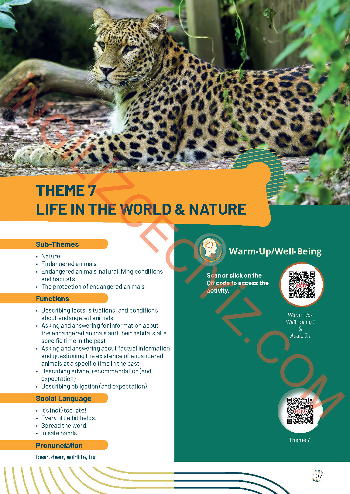 9. Sınıf Meb Yayınları İngilizce Ders Kitabı Sayfa 107 Cevapları