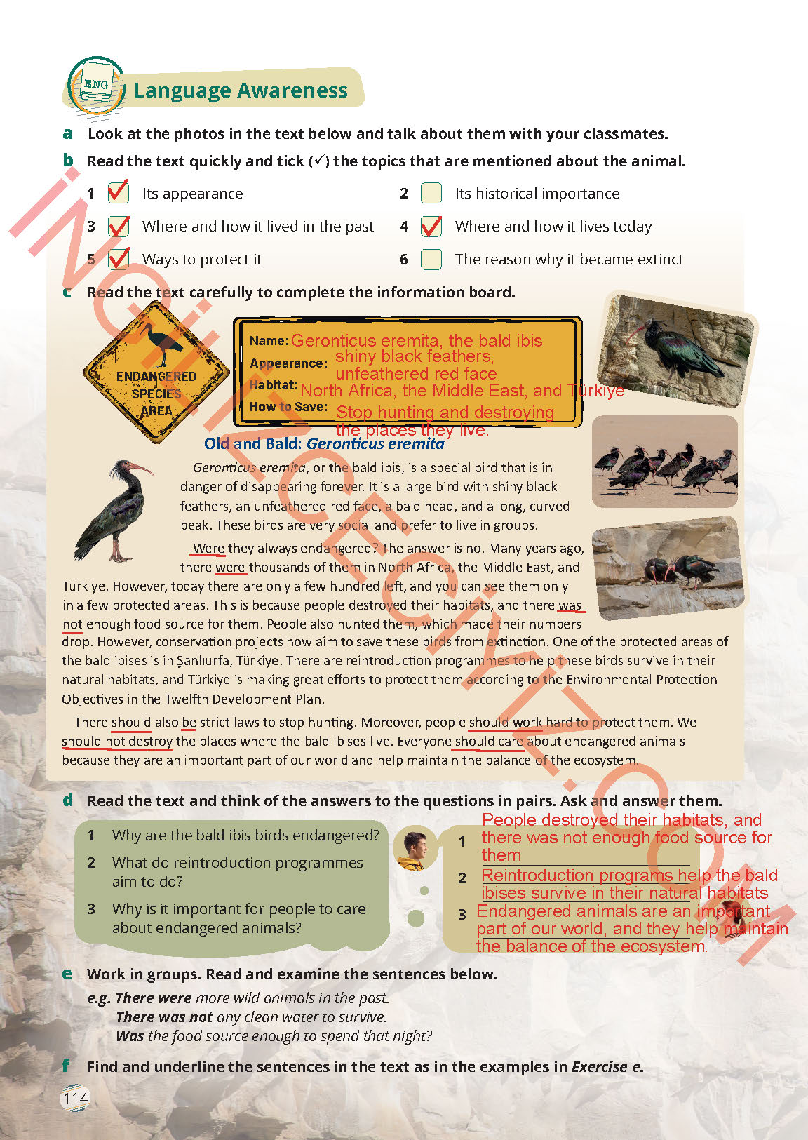 9. Sınıf Meb Yayınları İngilizce Ders Kitabı Sayfa 114 Cevapları