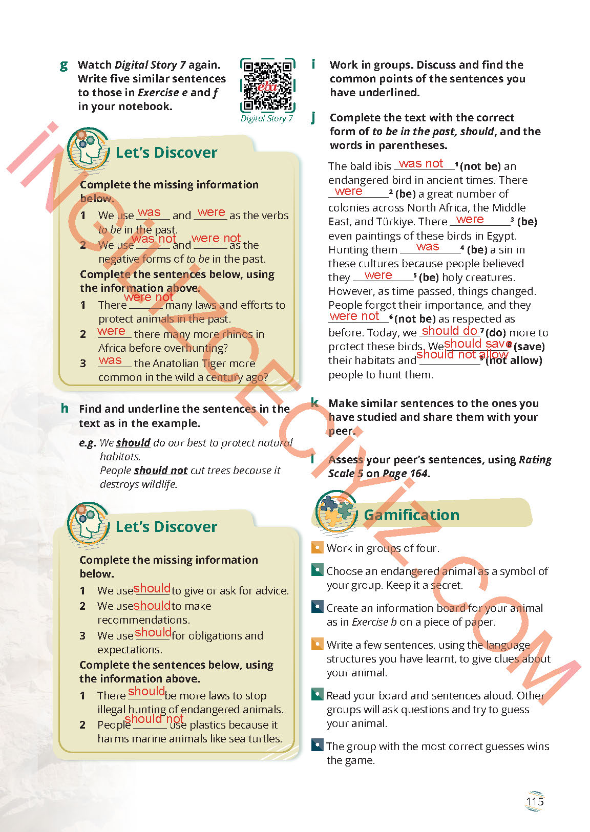 9. Sınıf Meb Yayınları İngilizce Ders Kitabı Sayfa 115 Cevapları