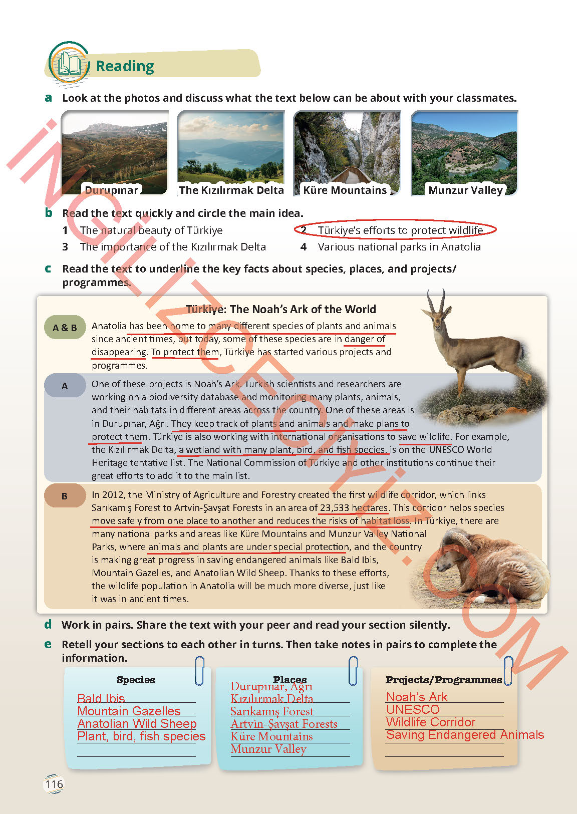 9. Sınıf Meb Yayınları İngilizce Ders Kitabı Sayfa 116 Cevapları