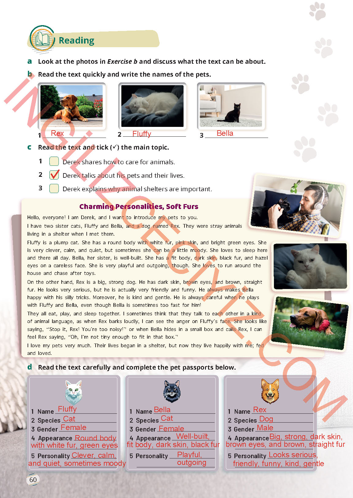 9. Sınıf Meb Yayınları İngilizce Ders Kitabı Sayfa 60 Cevapları