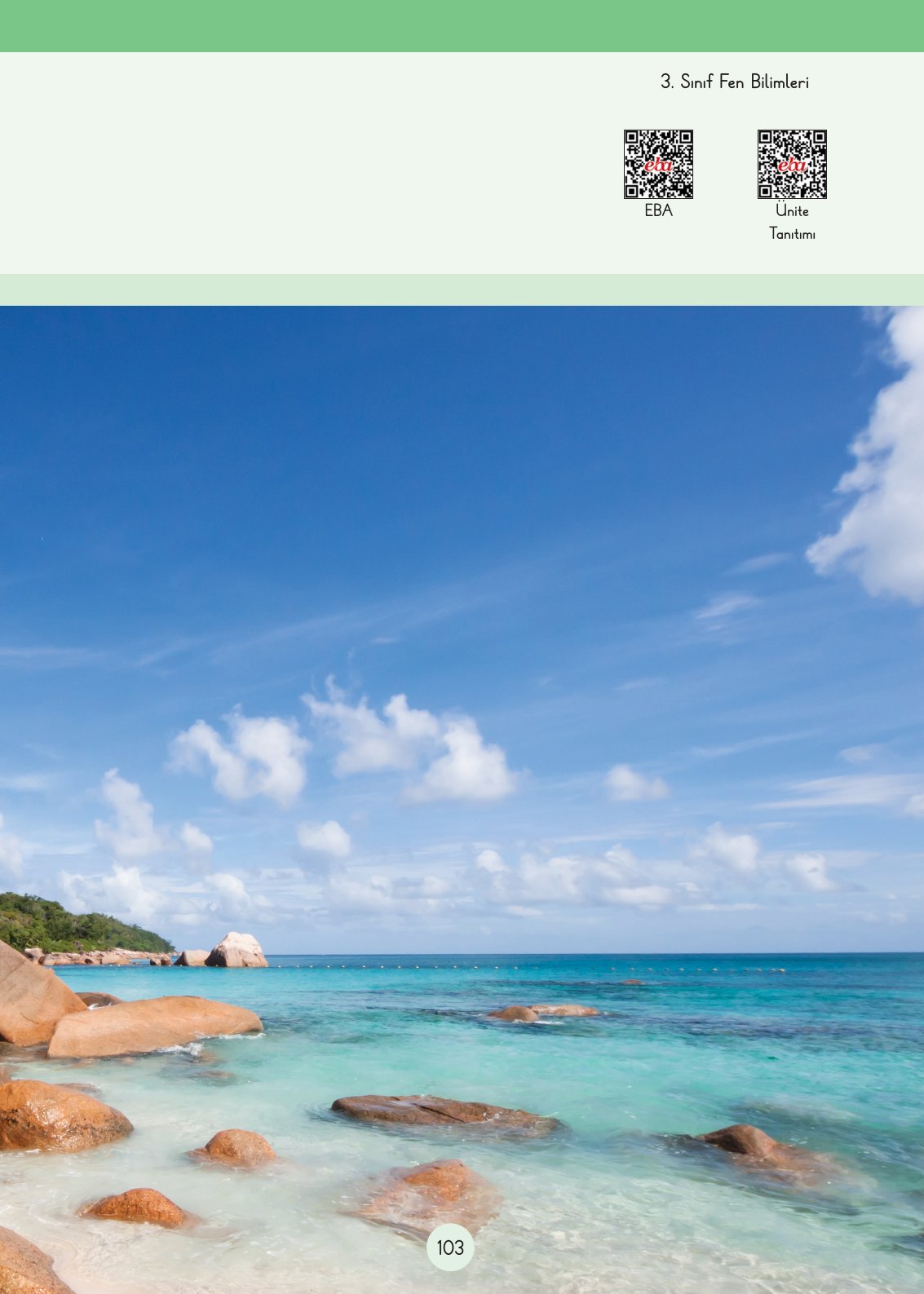 3. Sınıf Fen Bilimleri Ders Kitabı Cem Yayınları Sayfa 103 Cevapları